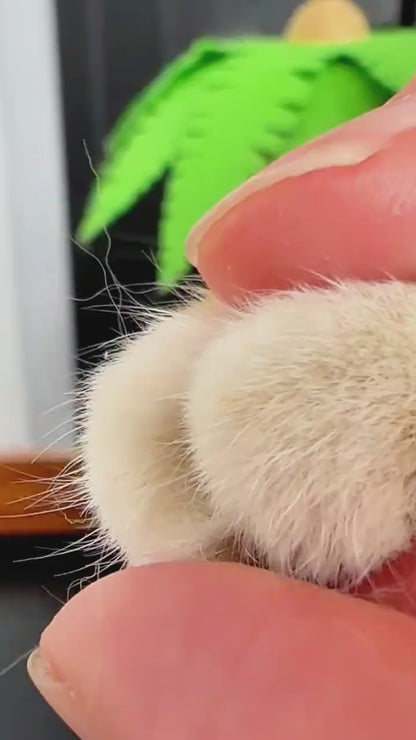 PawPerfect™ 3-in-1 LED Nail Grooming System— Limited Edition