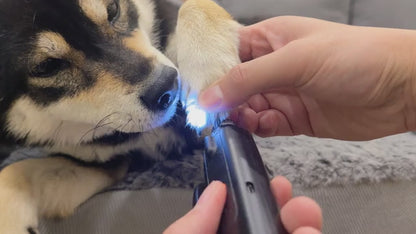 PawPerfect™ 3-in-1 LED Nail Grooming System— Limited Edition
